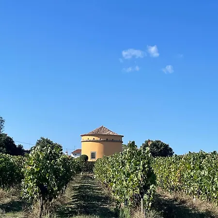 Casa Do Terreiro Boutique Apartamento *